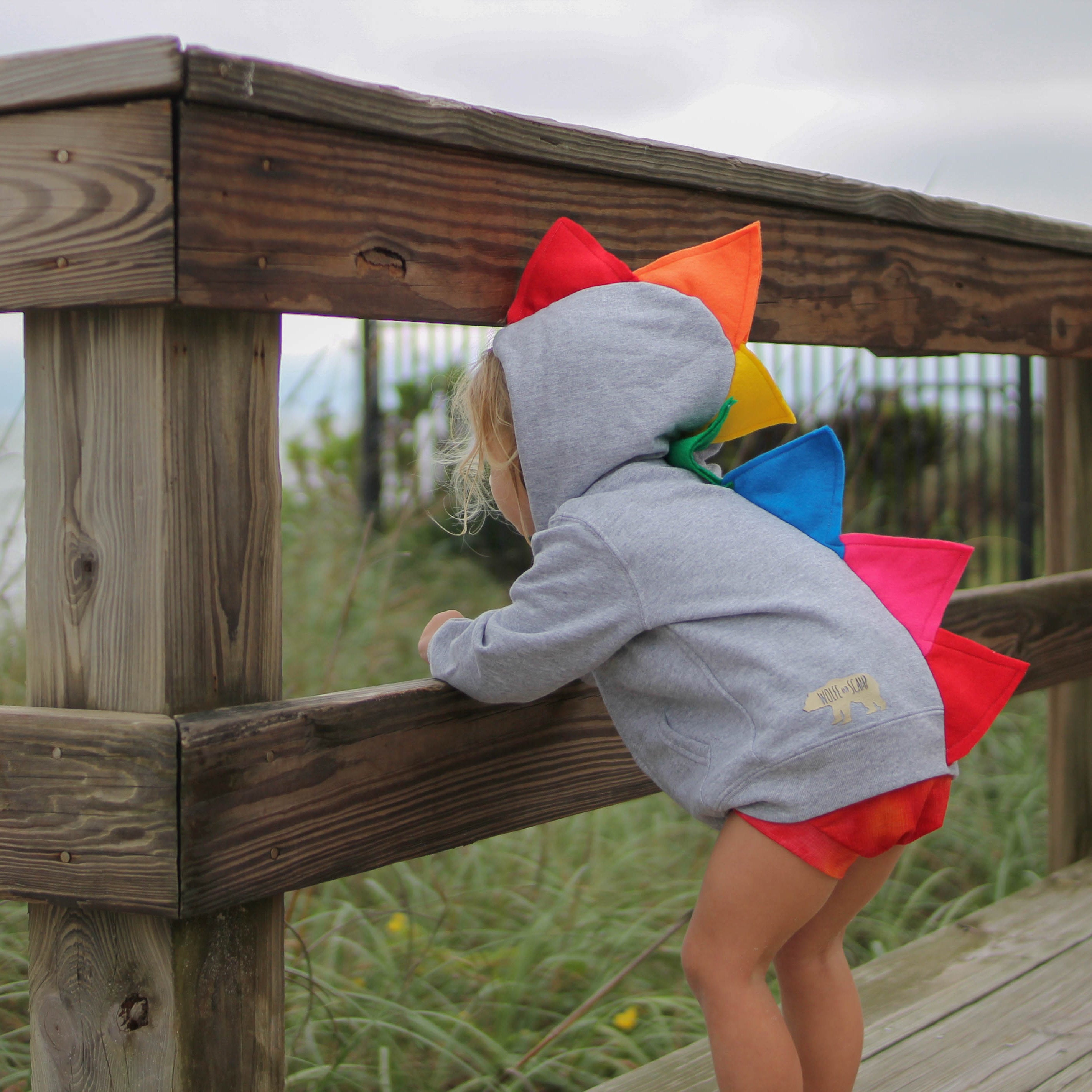 Rainbow Dinosaur Hoodie for Babies, Toddlers and Kids - Gray Jacket